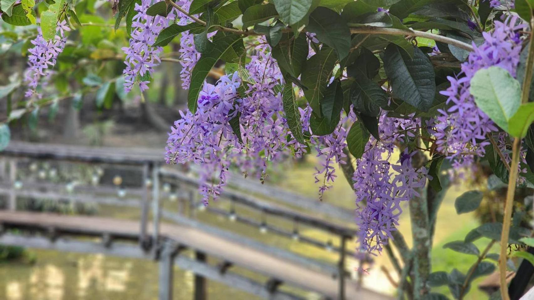 Baan Klong Resort Damnoen Saduak Экстерьер фото